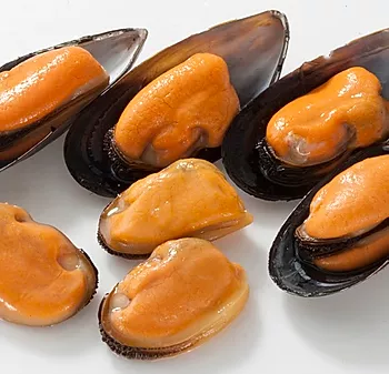 Mussel
