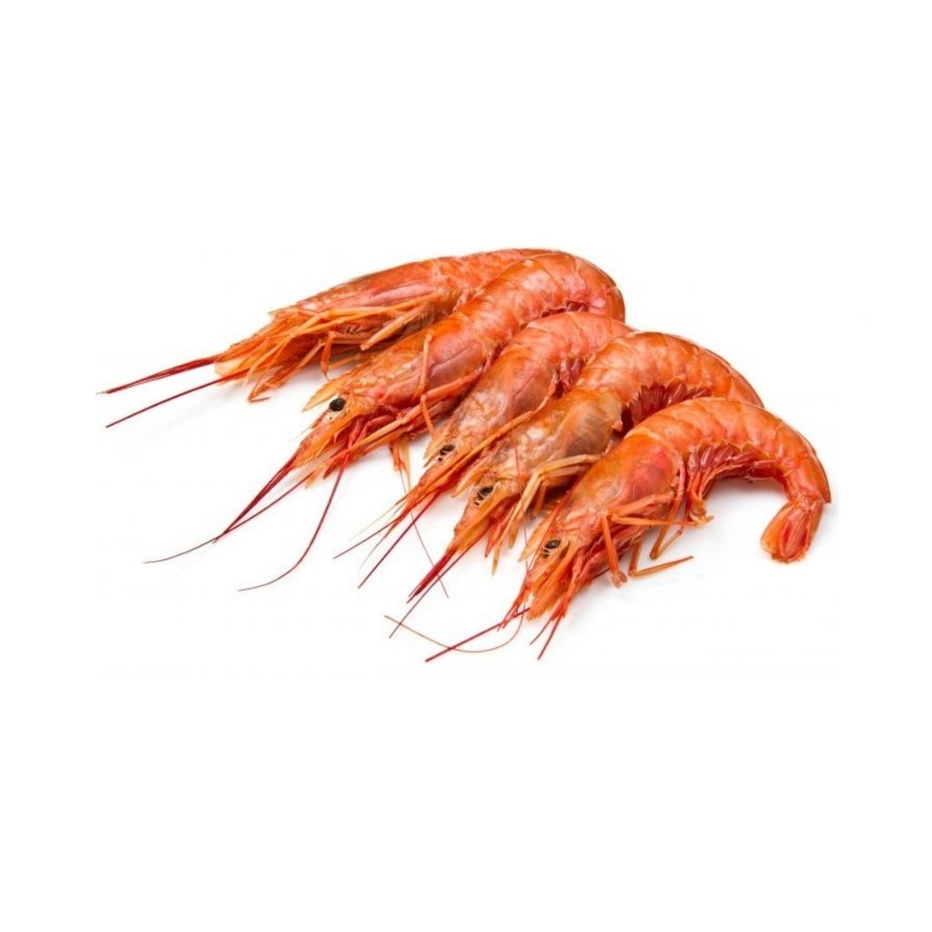 Red Shrimp