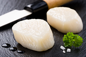 Scallops